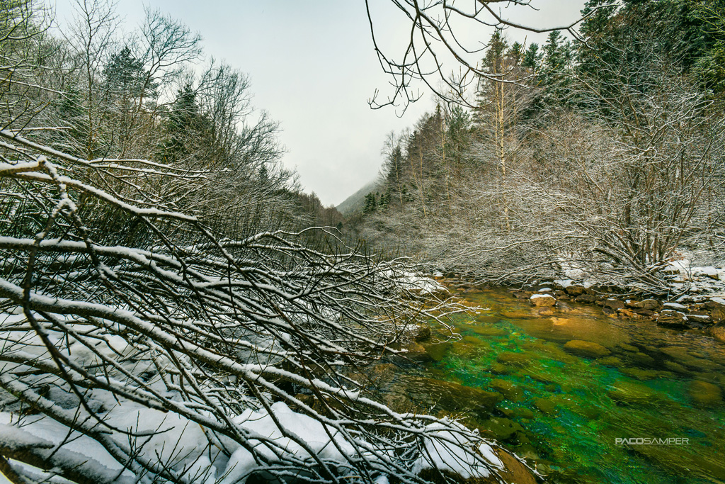 2019 08-27%2003.15.48