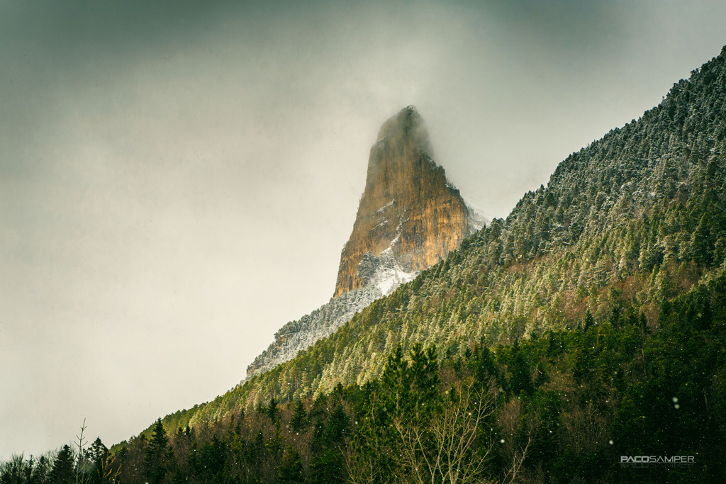 Integral estudios-Sira2-1024x685