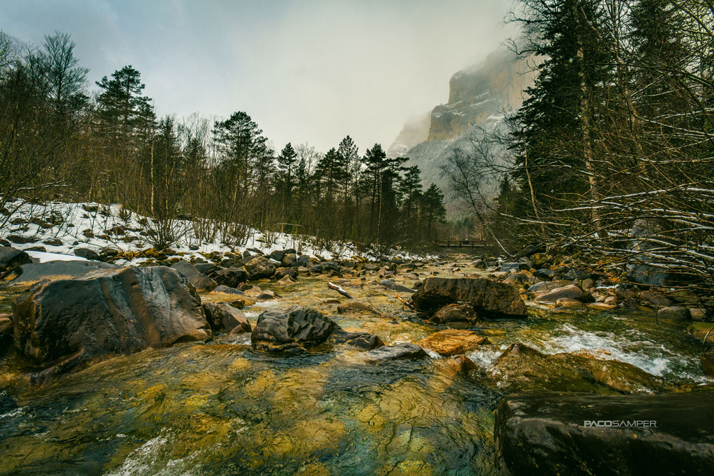 2018 08-21%2011.43.33