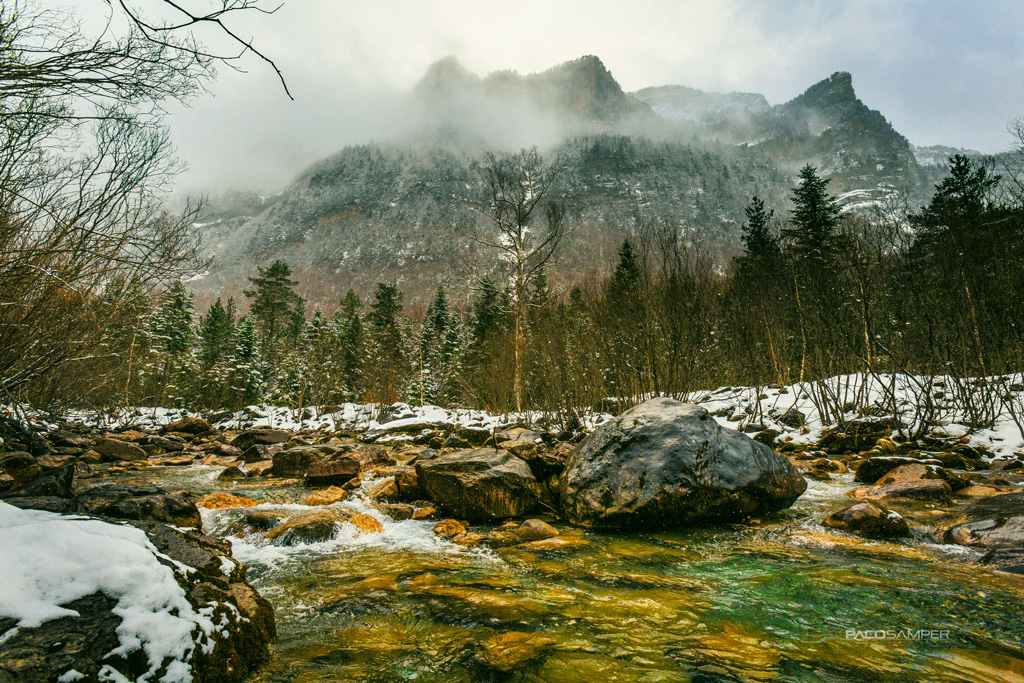 2016 03-08%2009.45.29