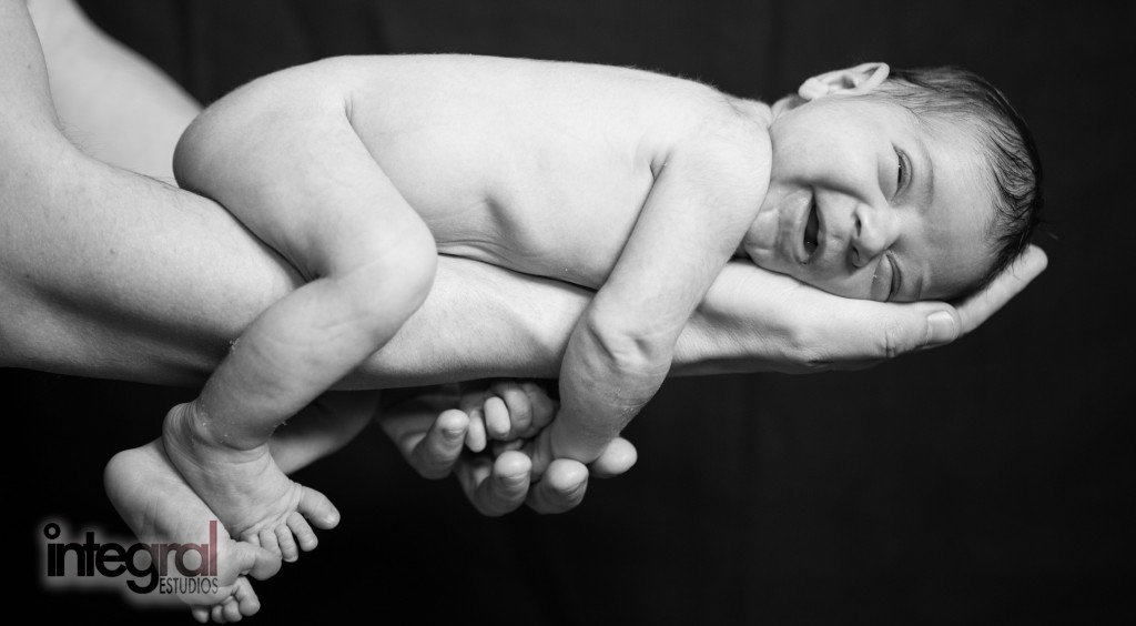 Integral estudios-Sira5-1024x564