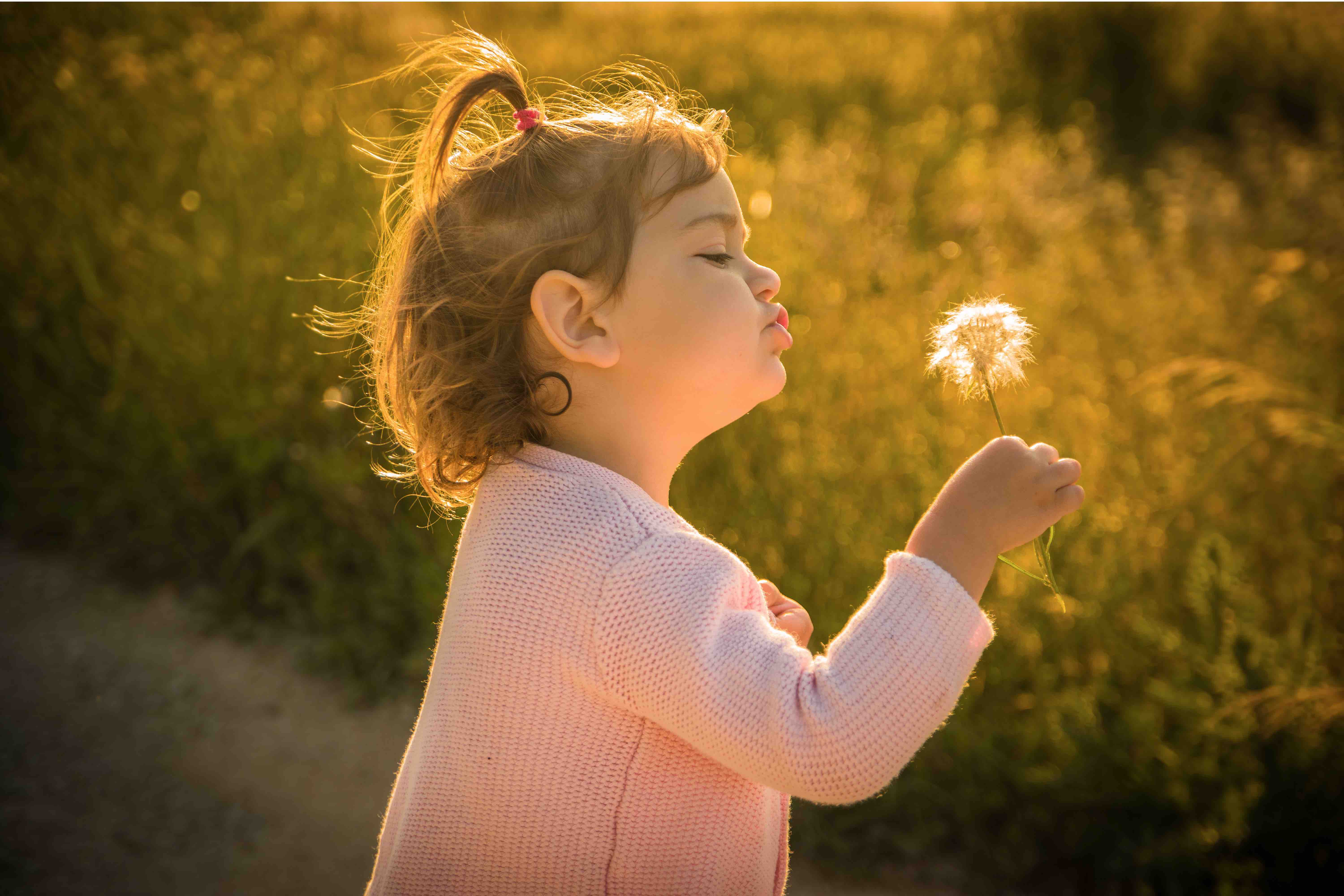 Remei%20Nadal%202016_6