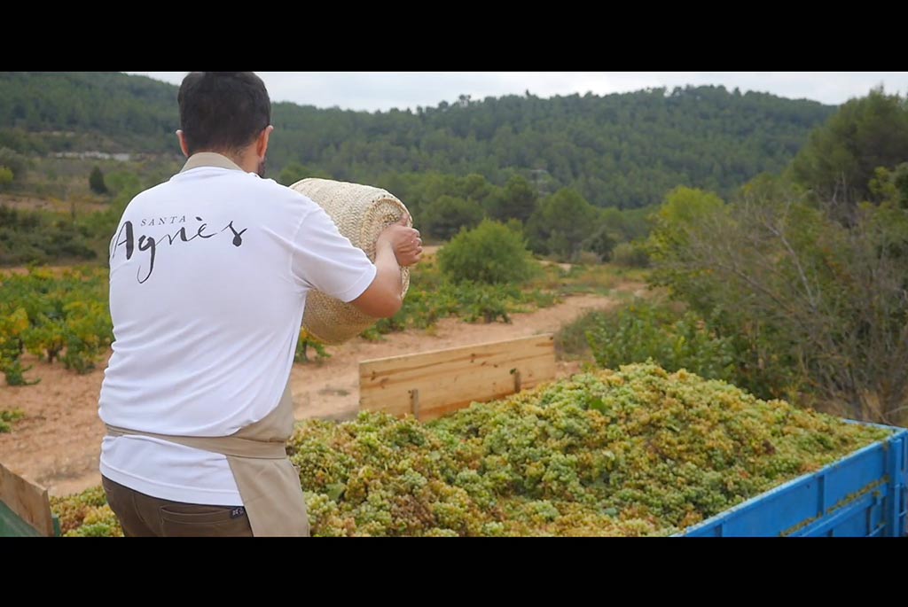 Slider internet-y-rrss