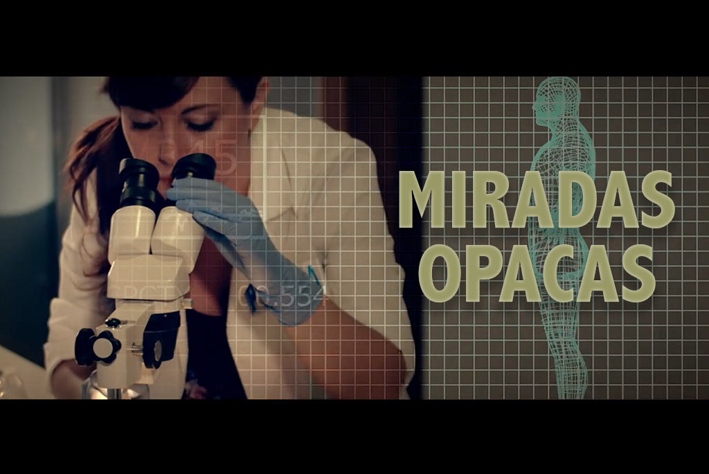 Integral estudios-Sira2-1024x685